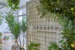 まさに都会の植物園!? 新宿にオープンした「ノードリウム」で観葉植物デビュー。虫が発生しづらいのも嬉しい