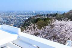 福井のカラフルバーガーカフェに絶景の桜シーズンが到来！休日の朝はモーニングが楽しめるベーカリーもOPEN