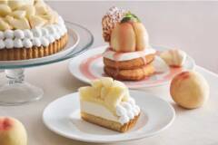 ビブリオテークに桃のデザートが集結！とろける甘さの岡山白桃をまるごと味わえる、贅沢パンケーキはいかが？