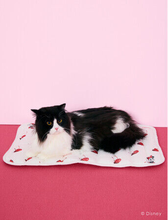 「gelato pique（ジェラート ピケ）」ミニーマウスをデザインの主役としたルームウェア、寝具、CAT&DOGの新作コレクションを発売＜5月15日（水）＞の20枚目の画像