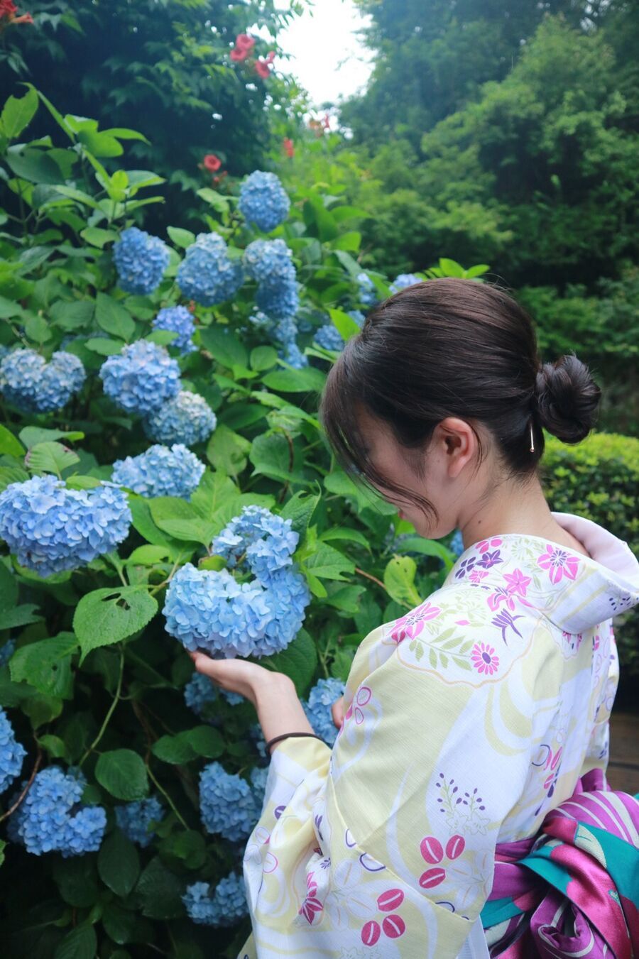 夏着物で鎌倉女子旅がとっても映え♡  紫陽花が見たいならいまが見頃♡の3枚目の画像