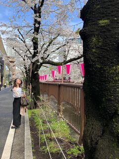 【都内】お花見スポット3選中目黒•上野•靖国神社