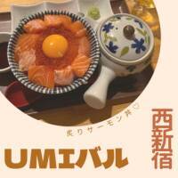 【海鮮丼】知る人ぞ知る！西新宿の隠れ家「UMIバル」でいただく絶品海鮮丼