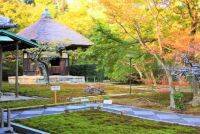春と秋の季節限定公開！足利尊氏ゆかりの北鎌倉「長寿寺」