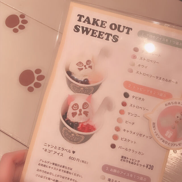 表参道Q-pot CAFEのネコアイスをテイクアウトできるのは今だけ♡の2枚目の画像