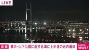 横浜・山下公園に面する海で上半身のみの遺体発見 下半身見当たらず、性別不明