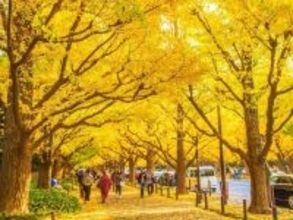 関東地方で人気の紅葉スポットランキング! 2位は「明治神宮外苑」、1位は?【専門家のおすすめも】