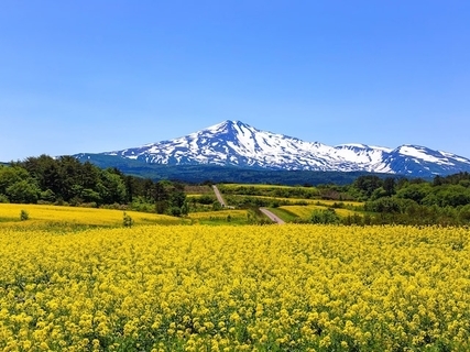 秋田県の市で「名前がかっこいいと思う市」ランキング! 2位「由利本荘市」、堂々の1位は?【2025年調査】