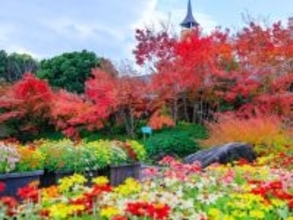 秋に行きたいと思う「三重県の絶景スポット」ランキング! 2位「なばなの里」を抑えた1位は? 【2025年調査】