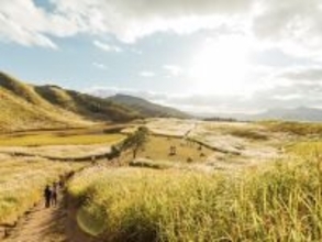 秋に行きたいと思う「奈良県の絶景スポット」ランキング! 2位「曽爾高原」を抑えた1位は? 【2025年調査】