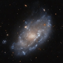 おとめ座銀河団の矮小銀河IC 776　ハッブル望遠鏡が撮影
