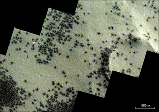 火星の南極で春になって大量に出現した黒い「クモ」