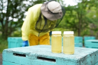 大阪府柏原市産のあかしあ蜂蜜が新登場 採れてから一週間で瓶詰めした蜂蜜を風味そのままのローハニー(生蜂蜜)で