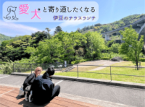 【ブロガー必見!】“癒やしのドッグテラス”誕生! 狩野川と天城連峰を望む開放的なカフェスペース“ペット同伴”ランチスポットが話題 道の駅 伊豆月ケ瀬