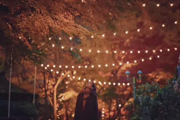 「紅葉×クリスマスがコラボする唯一の場所「神戸布引ハーブ園」 今年は『布引の紅葉』のライトアップを大規模に開催!【開催期間:11月8日(土)~12月上旬】」の画像