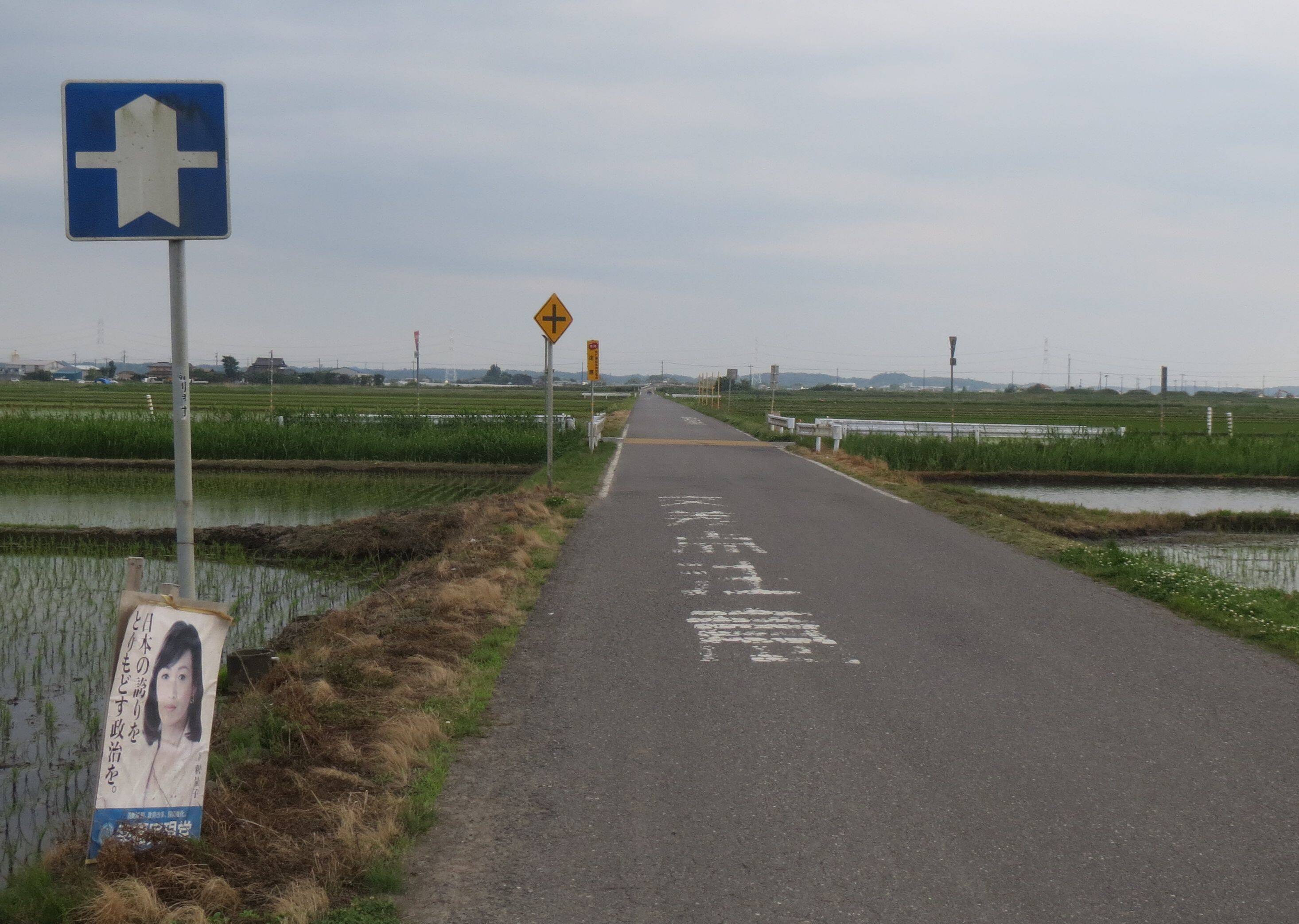 茨城県稲敷市、田園地帯にぽつんと立つ道路標識がとんでもなくレア物だった