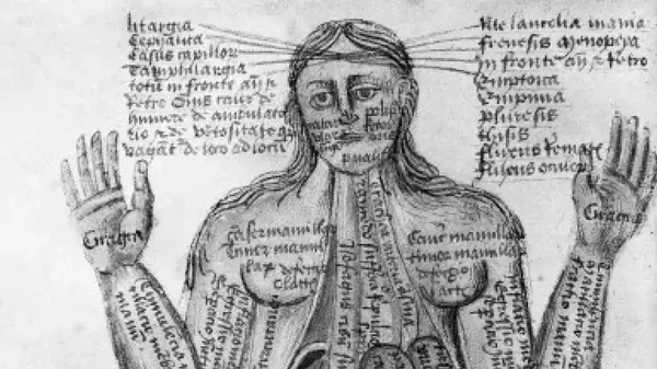 現在では考えられない！中世に描かれた医学や宇宙の絵の数々