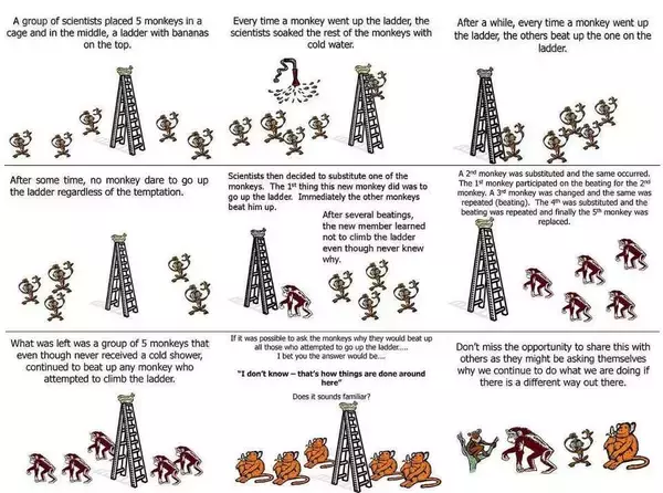 【5匹の猿に学ぶ】社会規則の作られ方の話