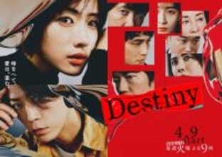 亀梨和也＆田中みな実『Destiny』、個人視聴率の高さで4月期の台風の目に