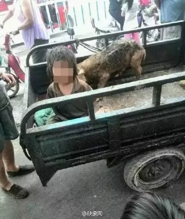 中国農村で豚として7年間育てられた男児を保護　3歳児ほどの体格で、言葉も話せず……