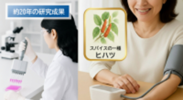 大正製薬 約20年にわたるヒハツ由来ピペリンの研究成果について、血管を専門とした学術集会で発表