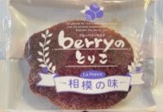 【京王百貨店】\“橋本発”の地域共創をバックアップ!/相模原市産ブルーベリーを使った商品を販売開始します