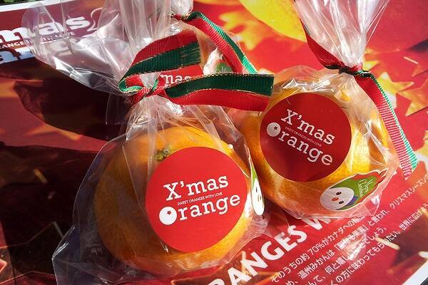 クリスマスにハート型の「みかん」を贈る　クリスマスオレンジって知ってる？