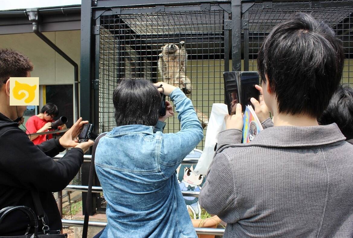 フレンズがいっぱいだね！ 東武動物公園「けもフレ」コラボイベントに行ってみた