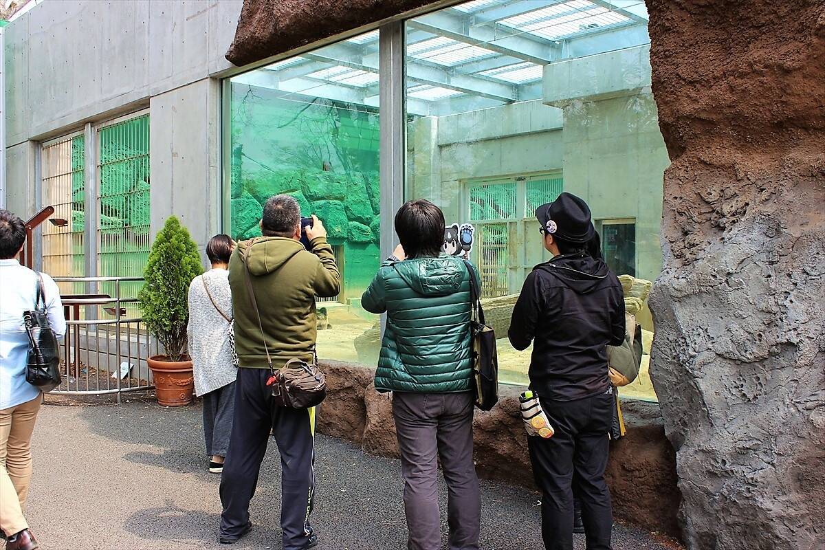 フレンズがいっぱいだね！ 東武動物公園「けもフレ」コラボイベントに行ってみた