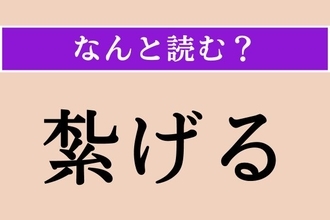 【難読漢字】「紮げる」正しい読み方は？ 縄やひもなどで結わえることを言います