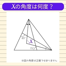 【角度当てクイズ Vol.812】xの角度は何度？