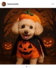 大和田獏、愛犬こころの命日にハロウィン衣装姿を披露「思い出が蘇る」