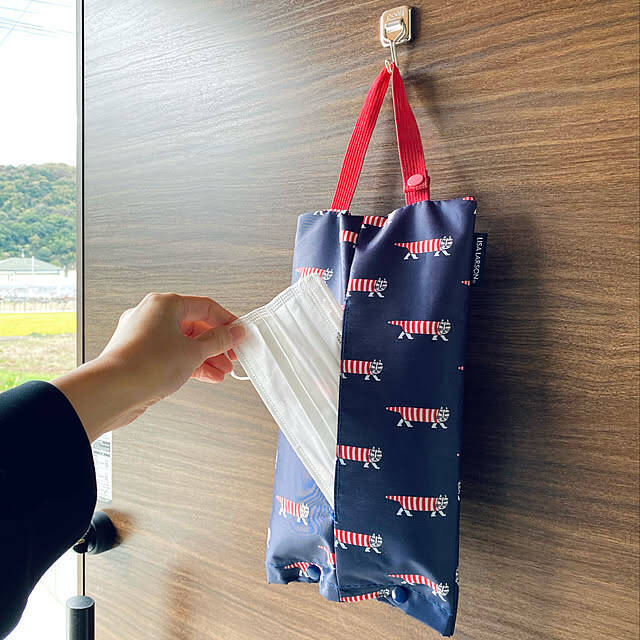 忘れ物防止にも☆ストレスフリーで使えるマスクの収納アイデア10選