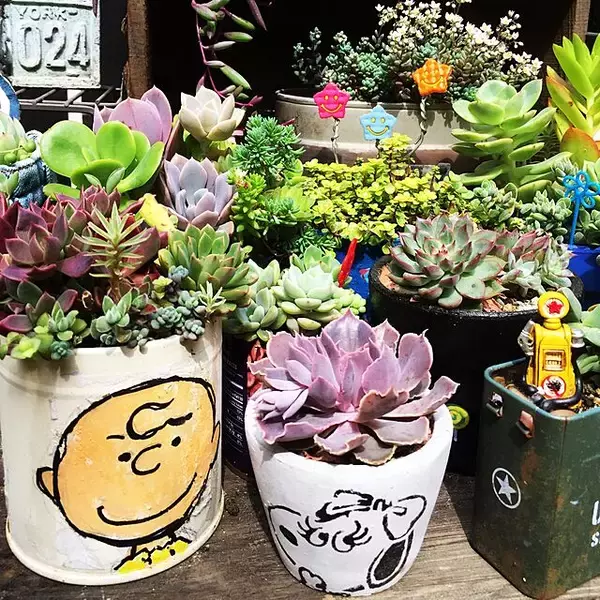 「アイテムを好みのデザインに変身☆ステンシルでかんたんDIY」の画像