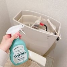 いつでも清潔で快適な空間に!トイレ掃除のアイデア集