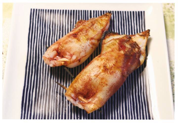 シーズン初期の小型を攻略三浦半島のヤリイカ上昇に期待