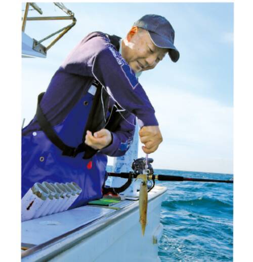 シーズン初期の小型を攻略三浦半島のヤリイカ上昇に期待