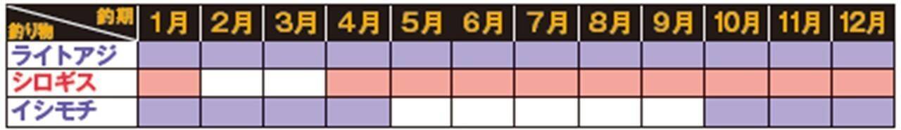 石川釣船店のライトアジ
