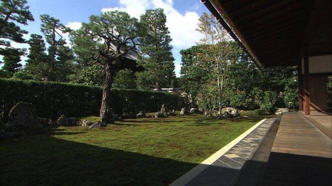 狩野永徳&千利休のダブルネーム!本日11月5日放送「美の巨人たち」は国宝・花鳥図と百積庭