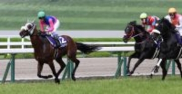 メイショウタバル、GI連勝なるか=来月2日に天皇賞・秋―競馬