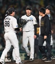 ベンチに下がる高橋 プロ野球