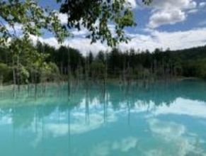 絶景を期待して行った「青い池」、まさかの「ただの池」だったトホホ旅/びっくり体験人気記事BEST