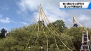 冬を迎える準備着々と 石川・兼六園で冬の風物詩「雪つり」の作業