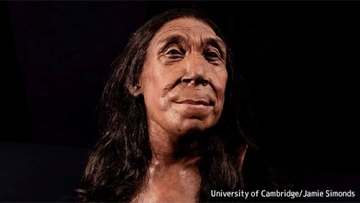7万5000年前のネアンデルタール人女性の顔の復元に成功
