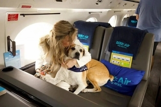 犬と一緒に空の旅が楽しめる「犬ファースト」の航空サービスが誕生！