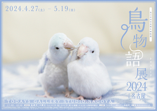 鳥に特化した作品展示と物販のイベント「鳥物語トリストーリー展」の2024年版が名古屋で開催