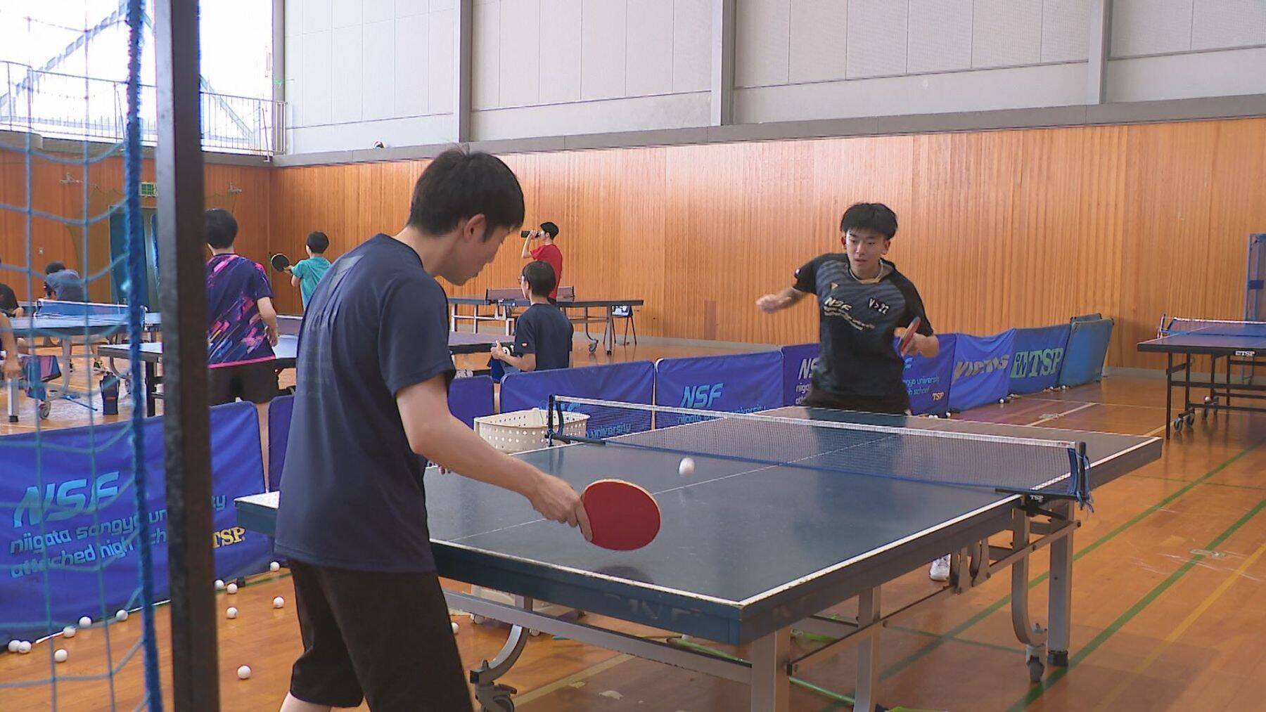 新潟にいた卓球界の逸材“吉田蒼”!高校1年生でTリーグ・金沢ポートに入団「将来は日本代表としてオリンピックに」