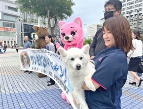 「悪いのは野良猫や野良犬ではなく、私たち人間」　ペット遺棄が増える大型連休前に　沖縄県が捨て犬猫防止・適正飼育を呼びかけ