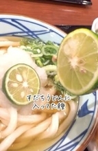 丸亀製麺で食べた“すだち”の種を育ててみたら…家庭菜園好き主婦の挑戦に「凄すぎて笑った」「種愛ハンパない!」