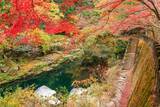 「秋に行きたい岡山の旅 おすすめは紅葉とともに楽しむ“渓谷美”や温泉」の画像1